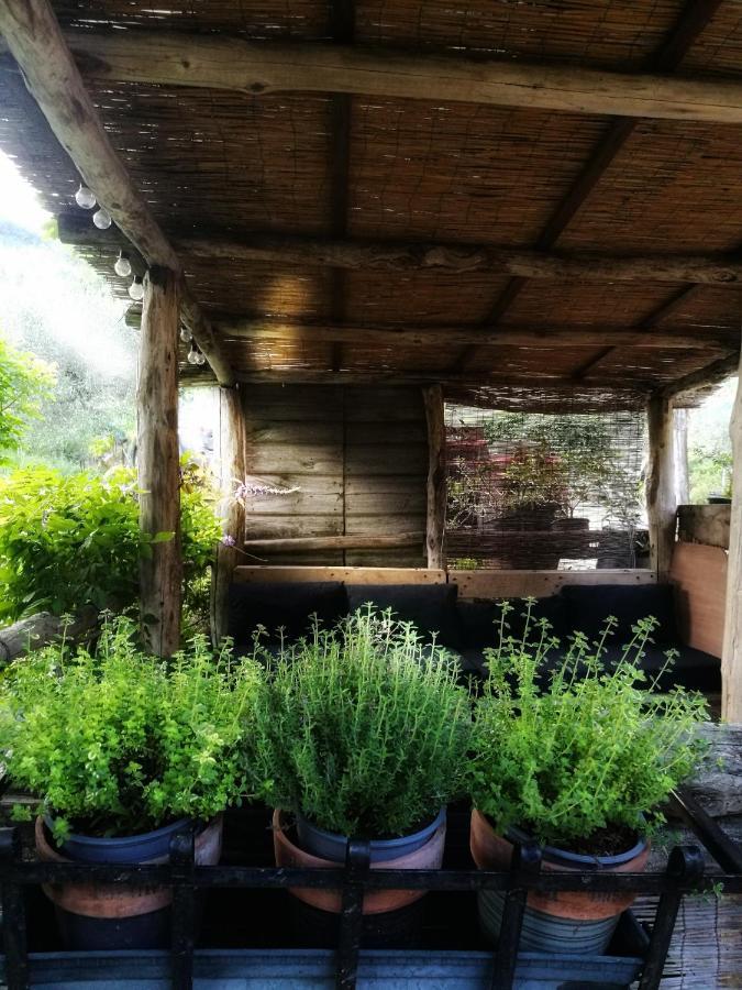 Agriturismo Tananei Marliana Exterior foto