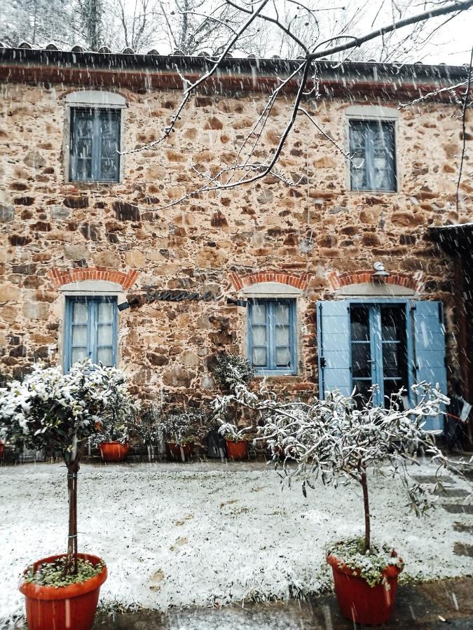 Agriturismo Tananei Marliana Exterior foto